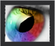 Graphic Design