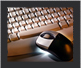 Software Development